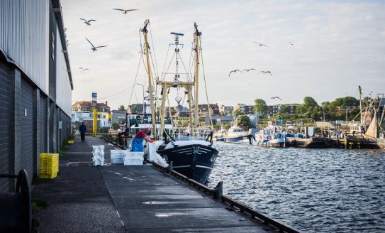 Commercial .IJmuiden citymarketing Velsen