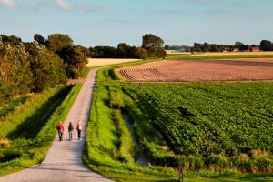 Belevingswerelden natuurbeleving