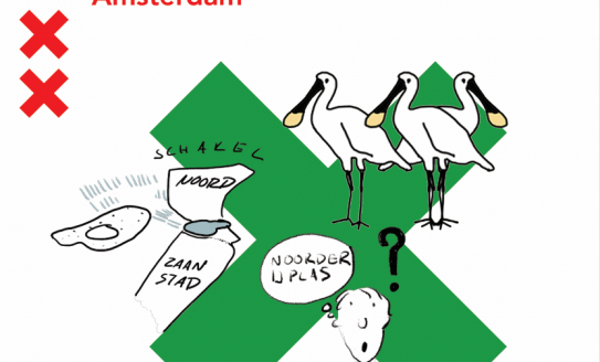 Tekening met Amsterdams kruis met lepelaars, een meertje een poppetje met een vraagteken naast zijn hoofd